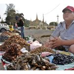 中秋不烤肉、烤昆虫!蟋蟀味道像虾、面包虫吃起来像坚果、白龙舌兰蠕虫像脆皮猪肉… 吃虫安全吗?