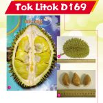 Tok Litok D169