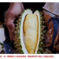 中国的榴莲热潮带来了巨额利润  有时也让不道德的商家获利（下篇）