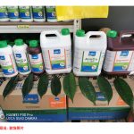 为何必要为成龄榴莲树补充液态镁、钙及硼肥?