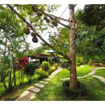 热带地区如马来西亚及亚热带地区如泰国的榴莲产量差异