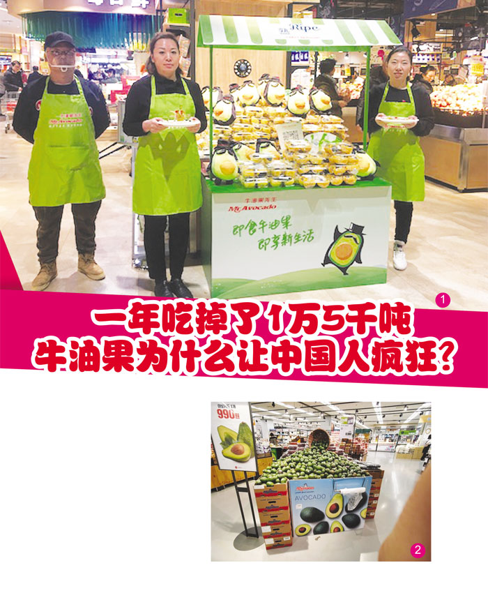Read more about the article 一年吃掉了4万5千吨  牛油果为什么让中国人疯狂?