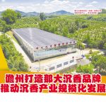 儋州打造那大沉香品牌 推动沉香产业规模化发展