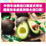 中国牛油果进口爆发式增长超越日本成亚洲最大进口国！