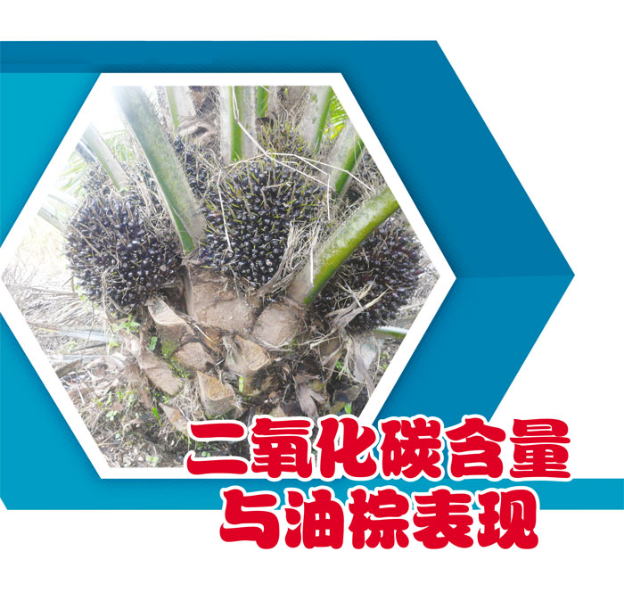 Read more about the article 三氧化碳含量与油棕表现