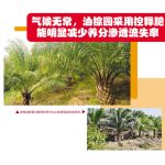 气候无常,油棕园采用控释肥能明显减少养分渗透流失率