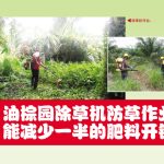 油棕园除草机防草作业能减少一半的肥料开销