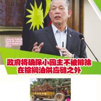 政府将确保小园主不被排除在棕榈油供应链之外