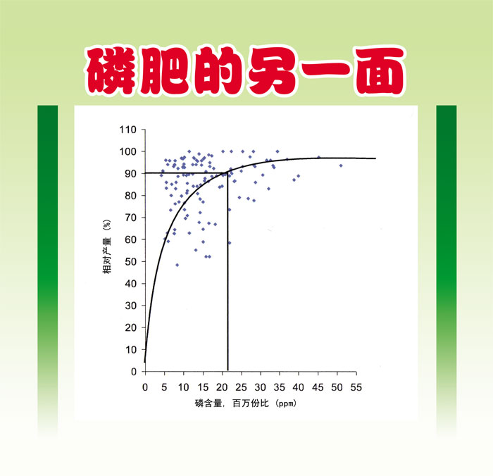 Read more about the article 磷肥的另一面