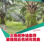 三角形种法取得最佳园丘机械化效益