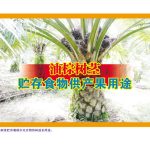 油棕树茎贮存食物供产果用途