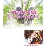 国内油棕品种表现第三轮比试成果