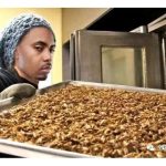 把蟋蟀制成蛋白粉市场容量有多大?