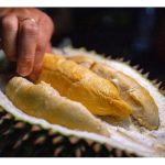 在马来西亚榴莲品种交配方面, 什么品种的交配有望成为效益高的交配种 ?