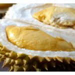 榴莲的风味主要源自基因还是种植地情 ?