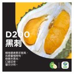 黑刺的市场地位及价格为何比猫山王高?