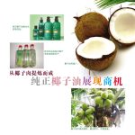 从椰子肉提炼而成纯正椰子油展现商机