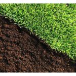 农业中碳氮(C/N)比率为何重要?什么比率对作物的成长与生产力最好,碳氮比率过高的有机质为何使作物出现黄萎现象及如何解决?