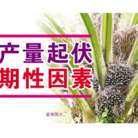 油棕产量起伏的周期性因素