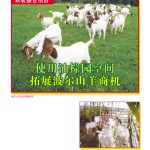 使用油棕园空间拓展波尔山羊商机