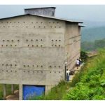 金丝燕养殖的成功条件是什么?