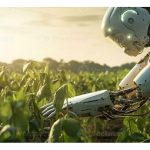 采收油棕鲜果串普遍面对采果工人短缺问题，人工智能(AI) 机器人是否能完成这项作业?