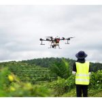 在马来西亚的环境下，那一种种植业有望率先执行园丘机械化以取代日益短缺的人工?