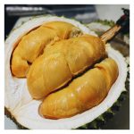 例常施放足量的磷肥是否将造成榴莲果实种子发育健全而膨大?