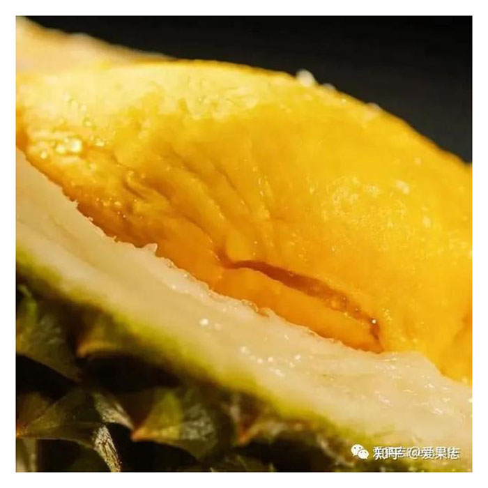 You are currently viewing 榴莲在日本及南韓是否流行?