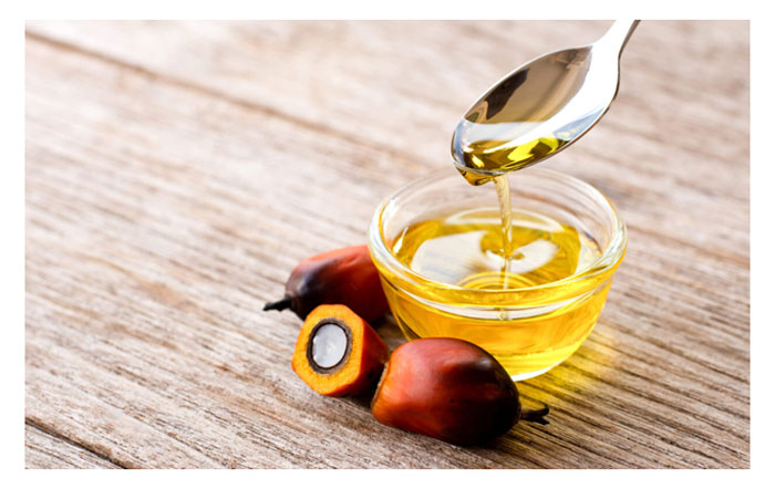 Read more about the article 油棕油脂的形成,那种肥料功绩最大?