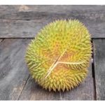 榴莲为何会裂果? 如何防治?