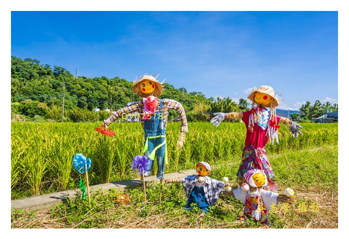 You are currently viewing 韓国的”智慧稻田”连稻草人都上网?