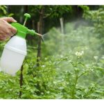 叶面肥种类何其多,大马农友应如何分辩正货或劣等货?