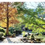 已成型的自家农场,包括种有各种果树,地形也优美,那么发展成休闲农场的潜能就比特意建造一所休闲农场来得好,尤其资金投入方面?