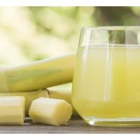 带甜的作物如甘蔗,虫害率是否更高?