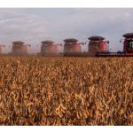 巴西许多牧场将改成大豆种植地,面积大幅延伸,准备接收全球各地尤其中国所增加的订单?