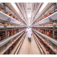 德国的”生物柴油养鸡场”‘： 鸡靠油生活?