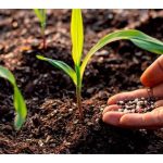 土壤酸碱性(pH)如何影响地肥力? 微生物活性与地肥力之间有什么关系?