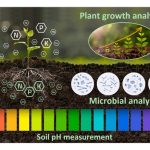 如何快速检测一块土地的地肥力? 土壤盐碱化对地肥力的危害有多大?