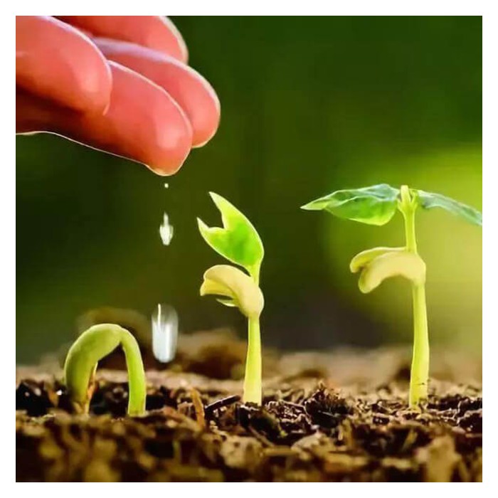 Read more about the article 地肥力高的土地,农作物一定长得快吗? 地肥力高会不会导致农作物生长异常?