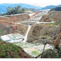 大马农民开垦非法地种菜及果树等，最近几年面对州政府强制回收，农民欲哭无淚，多年心血白费，生计受创, 应如何妥善解决?
