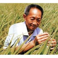 水稻杂交之父已故袁隆平最偉大的贡献是什么?