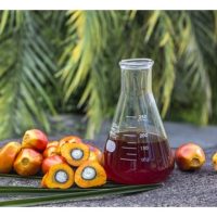 大马食用油生产占原棕油多少巴仙? 大马有出口食用油吗? 食用油普遍上仍是棕油最大的占比?