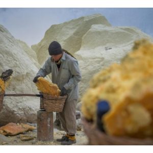 印尼火山灰肥料效益大