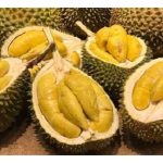 印尼建立火山榴莲品牌的庞大商机