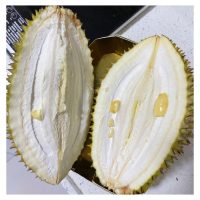 完全没有果肉的榴莲怎样形成的?