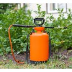 大马市场上用在蔬果园驱虫的天然剂有哪些? 效果如何?