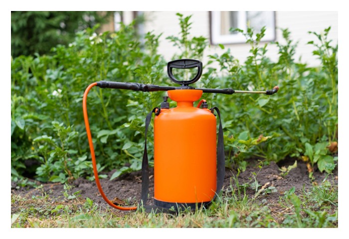 Read more about the article 大马市场上用在蔬果园驱虫的天然剂有哪些? 效果如何?