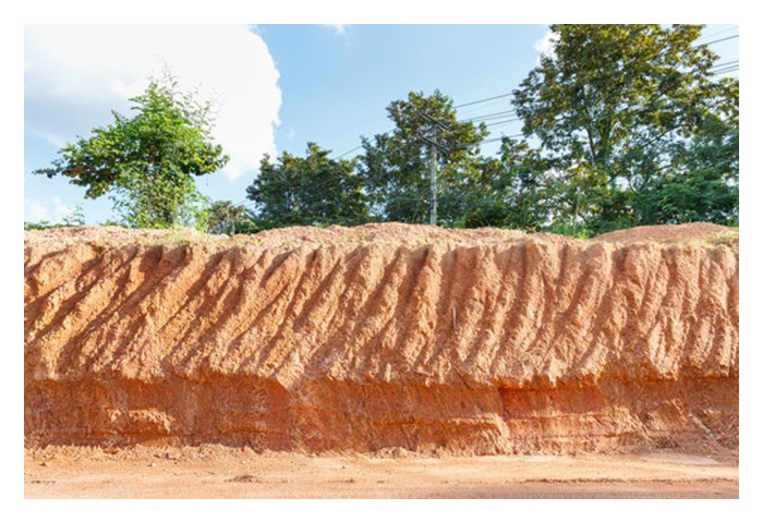 Read more about the article 红土壤 (laterite soil) 的油棕与果树，其复合肥施放计划应注意哪些事项以取得更佳效果?