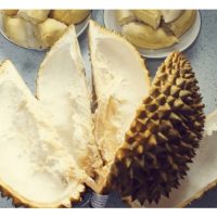榴莲壳加工成肥料的商机如何? 一吨果壳能制出多少肥料?